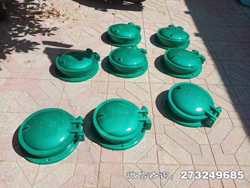 马村玻璃钢止水拍门