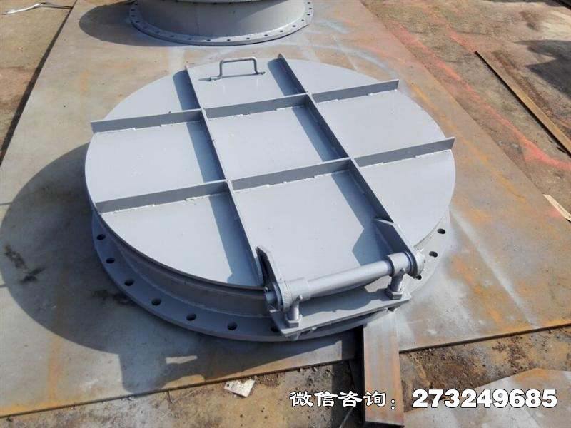 龙泉驿平板式钢制拍门